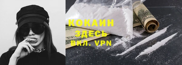 apvp Краснослободск