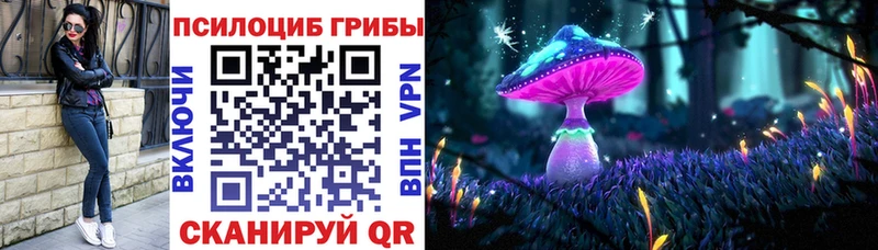 Галлюциногенные грибы Psilocybe  купить закладку  hydra зеркало  Мелеуз 
